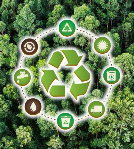 green-mission-ciclo